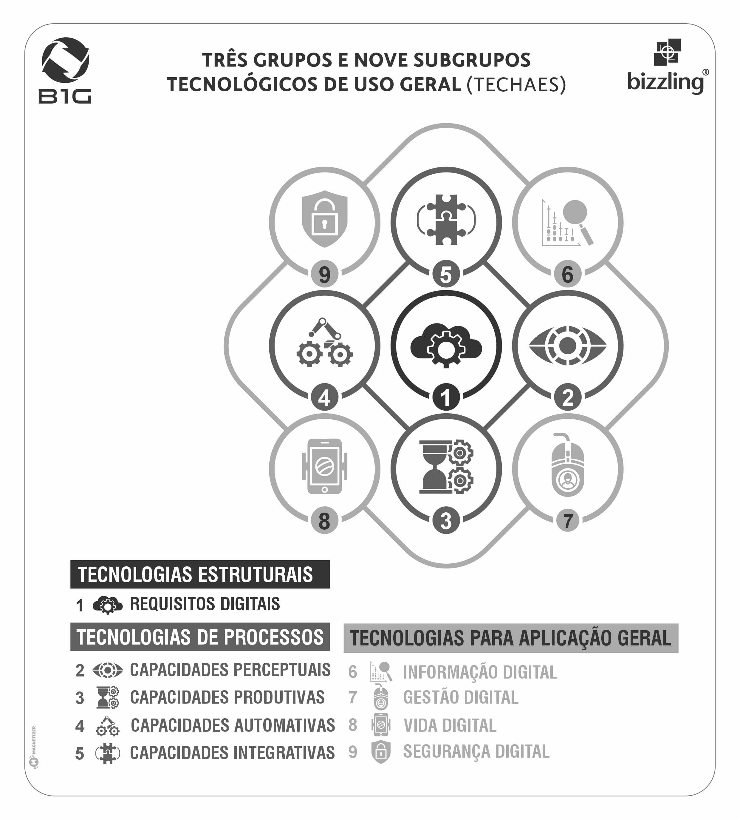 Figura 9 — Três Grupos e Nove Subgrupos Tecnológicos de Uso Geral (TECHAES)