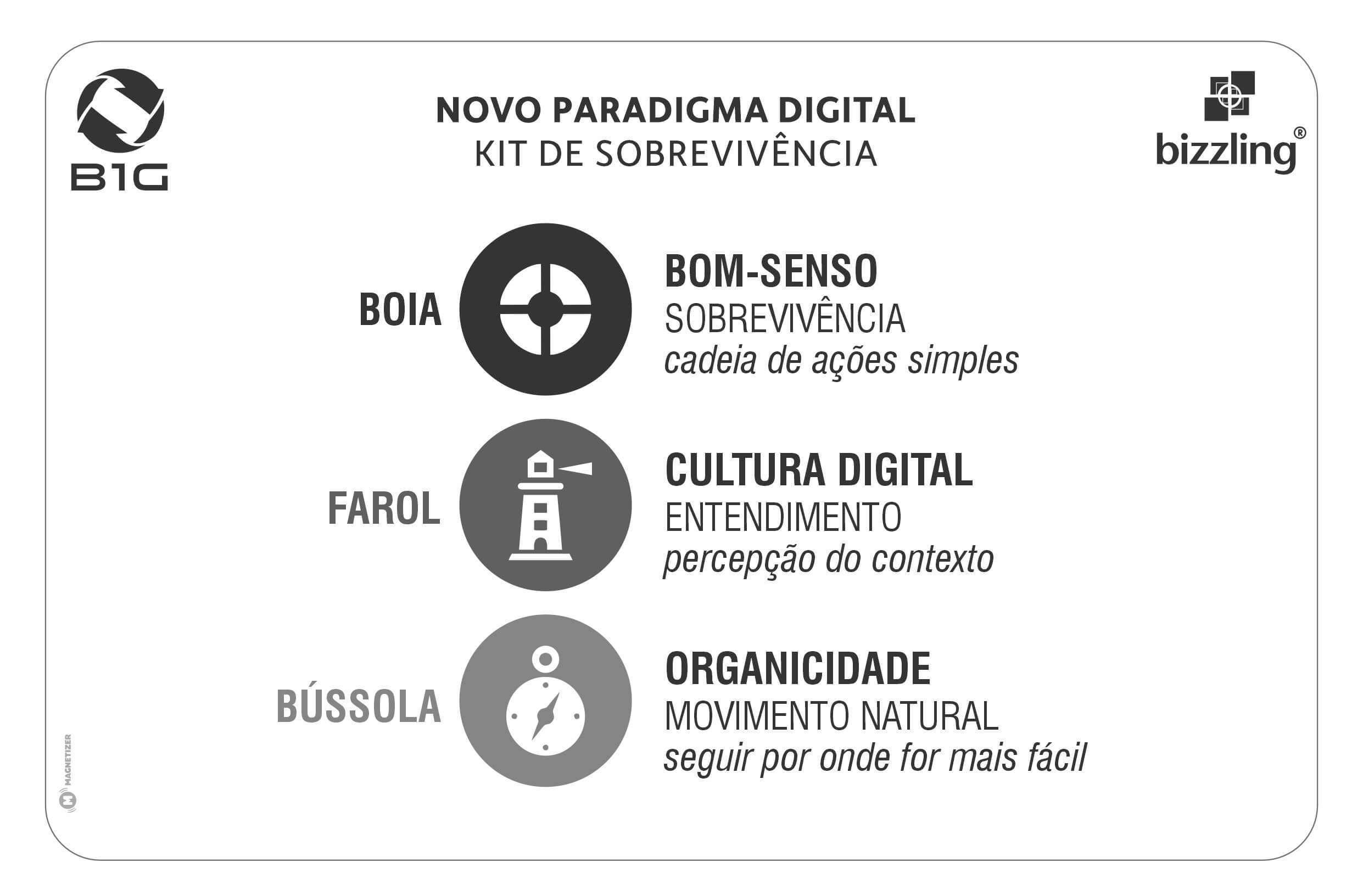 Figura 14 — Novo Paradigma Digital: Kit de Sobrevivência